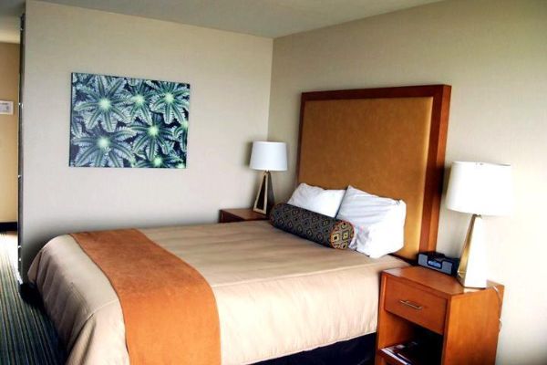 THE COHO OCEANFRONT LODGE (Lincoln City)